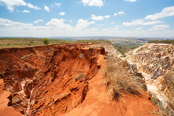 Image showing Ankarokaroka canyon in Ankarafantsika, Madagascar