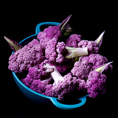 Image showing Fresh Purple Cauliflower