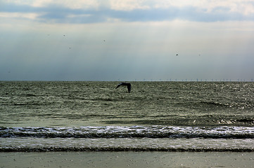 Image showing Rays of Sun on Sea Horizon