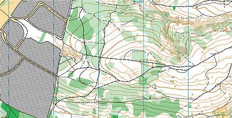 Image showing Abstract vector topographic map