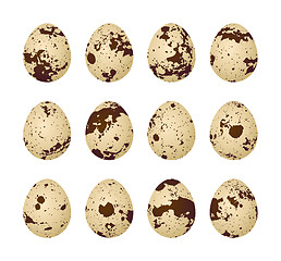 Image showing Quail eggs on a white background