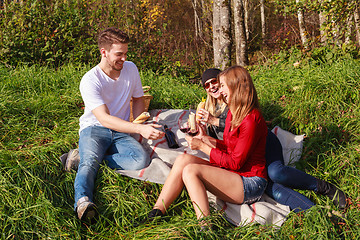 Image showing Friends at the picnic