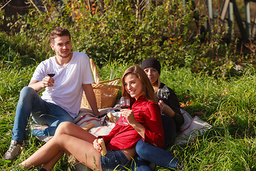 Image showing Friends drinking wine