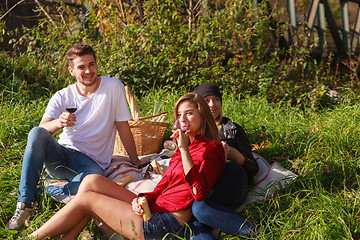 Image showing Friends drinking wine