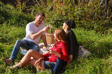 Image showing Friends drinking wine