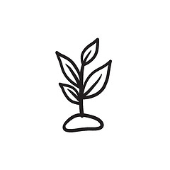 Image showing Sprout sketch icon.