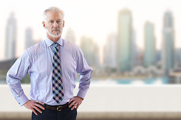 Image showing Senior businessman in front of the big city