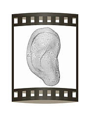 Image showing Ear digital model. 3d illustration. The film strip.