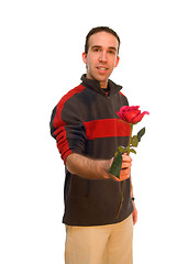 Image showing Male Holding A Rose