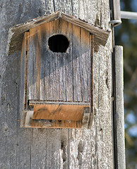 Image showing Homemade Birdhouse