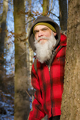 Image showing a gray bearded lumberjack in the woods