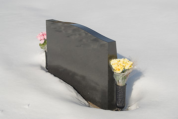 Image showing Winter Grave