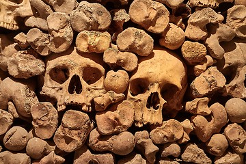 Image showing Skulls and bones in a wall