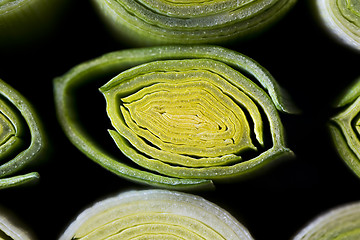 Image showing Cross-section of leek stem and leaves.