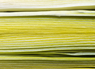 Image showing Three slices of leeks lengthwise cut