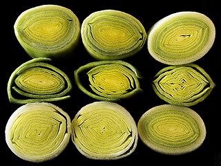 Image showing Cross-section of leek stem and leaves.