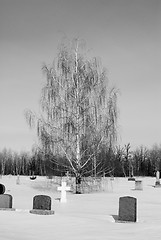 Image showing Cemetery