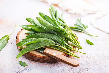 Image showing fresh sage