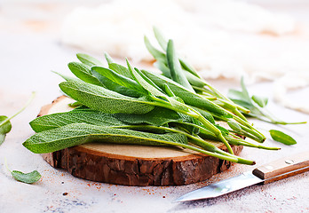 Image showing fresh sage