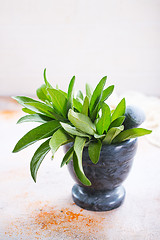 Image showing fresh sage