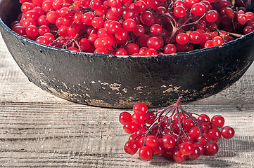 Image showing Closeup viburnum in cast iron frying pan