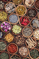 Image showing Natural Herbal Medicine Selection