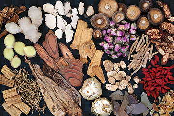 Image showing Traditional Chinese Herbs