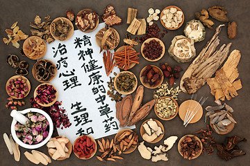 Image showing Traditional Ancient Chinese Medicine