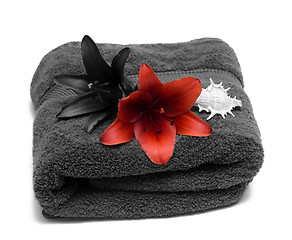 Image showing Bath Towel