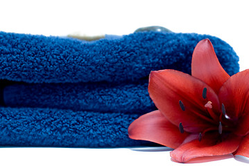 Image showing Spa Towel