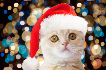 Image showing little cat in santa hat over christmas lights