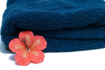 Image showing Spa Towel