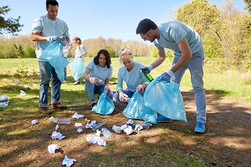 Image showing volunteers with garbage bags cleaning park area