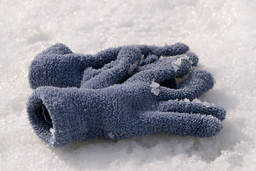 Image showing Winter Gloves