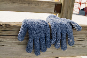 Image showing Gloves Hanging To Dry