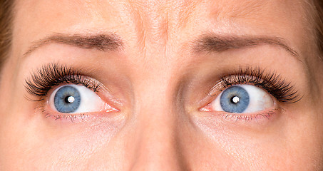 Image showing Face woman with eyes and eyelashes