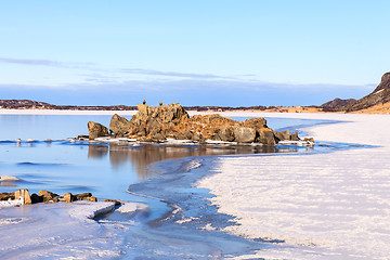 Image showing eagles on the rocks