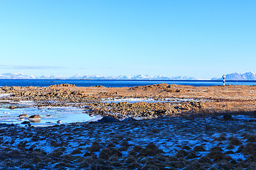 Image showing icy coastal landscape