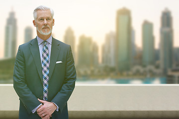 Image showing Senior businessman in front of the big city