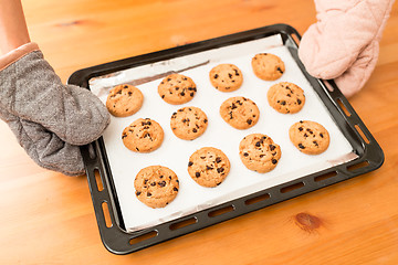 Image showing Delicious Fresh Chocolate Chip Cookies