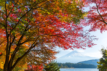 Image showing Kawaguchi Lake in the autumn season