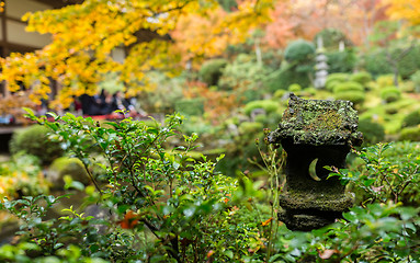 Image showing Japanese temple garden in autumn