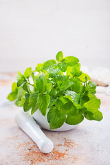 Image showing fresh mint leaf