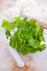 Image showing fresh mint leaf