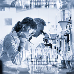 Image showing Health care researchers working in scientific laboratory.