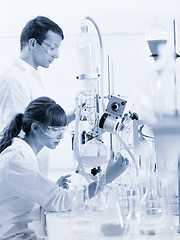 Image showing Young chemists researching in life science laboratory.