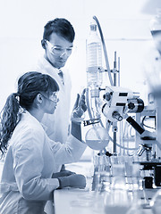 Image showing Young chemists researching in life science laboratory.