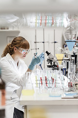 Image showing Young scientist pipetting in life science laboratory.