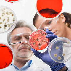 Image showing Life scientists researching in the health care laboratory.