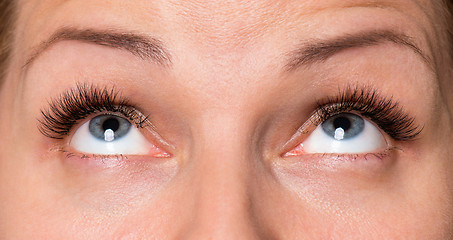 Image showing Face woman with eyes and eyelashes